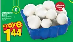 Super C champignons blancs offer