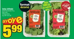 Super C laitue Attitude | Attitude lettuce offer