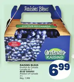 Marché Bonichoix BLUE GRAPES offer