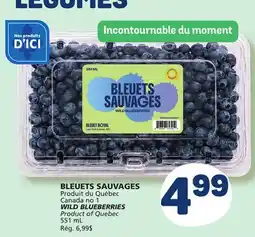 Marché Bonichoix WILD BLUEBERRIES offer