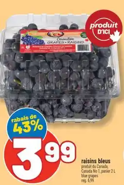 Marché Richelieu RAISINS BLEUS | BLUE GRAPES offer