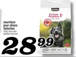 Marché Richelieu NOURRITURE POUR CHIENS SELECTION | SELECTION DOG FOOD offer