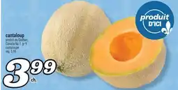 Marché Richelieu CANTALOUP | CANTALOUPE offer