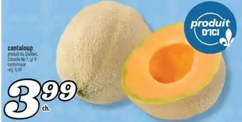 Marché Richelieu CANTALOUP | CANTALOUPE offer