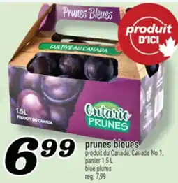 Marché Richelieu PRUNES BLEUES | BLUE PLUMS offer