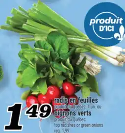 Marché Richelieu RADIS EN FEUILLES OU OIGNONS VERTS | TOP RADISHES OR GREEN ONIONS offer
