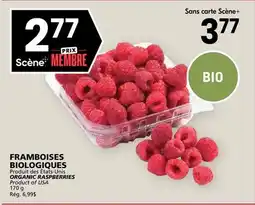 Rachelle-Bery Grocery ORGANIC RASPBERRIES offer