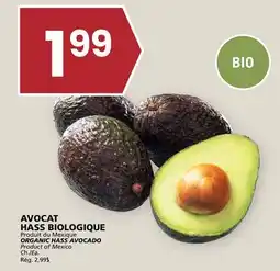 Rachelle-Bery Grocery ORGANIC HASS AVOCADO offer