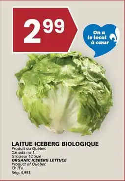 Rachelle-Bery Grocery ORGANIC ICEBERG LETTUCE offer