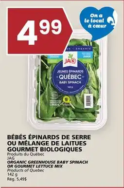 Rachelle-Bery Grocery JAG ORGANIC GREENHOUSE BABY SPINACH OR GOURMET LETTUCE MIX offer
