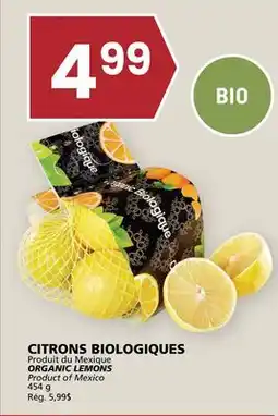 Rachelle-Bery Grocery ORGANIC LEMONS offer