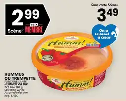 Rachelle-Bery Grocery FONTAINE SANTÉ HUMMUS OR DIP offer
