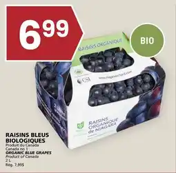 Rachelle-Bery Grocery ORGANIC BLUE GRAPES offer