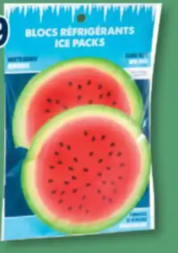 Familiprix GEOCAN Ice pack, pack of 2 offer