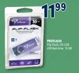 Familiprix PROFLASH Flip-Flash USB flash drive, 16 GB offer
