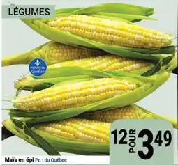 Pasquier Maïs en épi offer
