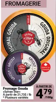 Pasquier Fromage Gouda Sylvan Star offer