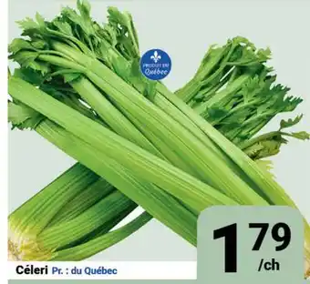 Pasquier Céleri offer