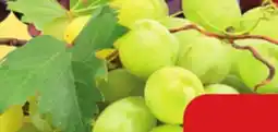 Giant Tiger Green or red seedless grapes offer