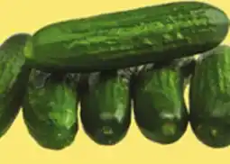 Giant Tiger mini cucumbers offer