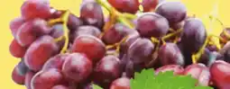Giant Tiger 500 g green or red seedless grapes offer