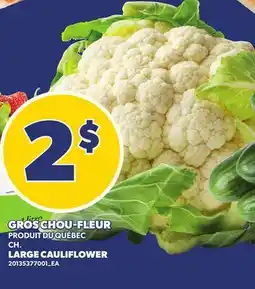 Provigo GROS CHOU-FLEUR | LARGE CAULIFLOWER offer