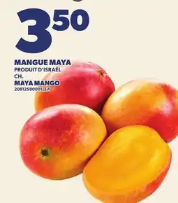Provigo MANGUE MAYA, CH. | MAYA MANGO offer