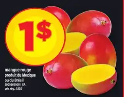 Maxi MANGUE ROUGE offer