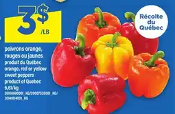 Maxi POIVRONS ORANGE, ROUGES OU JAUNES | ORANGE, RED OR YELLOW SWEET PEPPERS offer