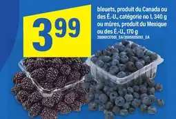 Maxi BLEUETS, 340 G OU MÛRES, 170 G offer