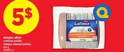 Maxi BOLOGNE LAFLEUR | BOLOGNA offer