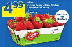 Maxi FRAISES offer
