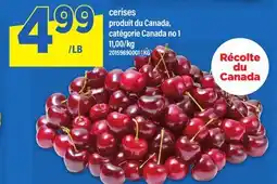 Maxi CERISES offer