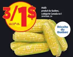 Maxi MAÏS offer