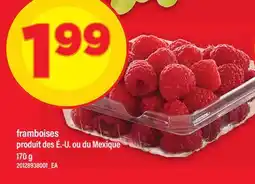Maxi FRAMBOISES offer