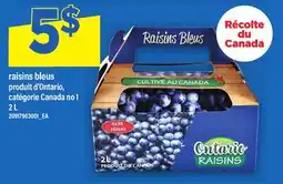 Maxi RAISINS BLEUS offer