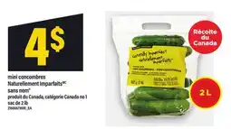 Maxi MINI CONCOMBRES NATURELLEMENT IMPARFAITS SANS NOM , sac de 2 lb offer