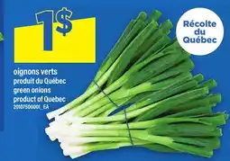 Maxi OIGNONS VERTS | green onions offer