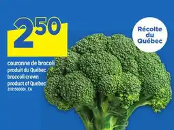 Maxi COURONNE DE BROCOLI | BROCCOLI CROWN offer