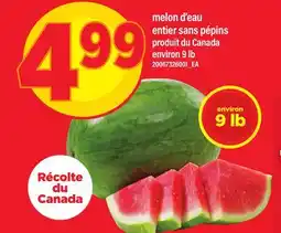 Maxi MELON D'EAU ENTIER SANS PÉPINS, ENVIRON 9 LB offer