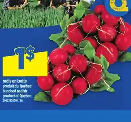 Maxi RADIS EN BOTTE | BUNCHED RADISH offer