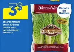 Maxi COEUR DE ROMAINE | ROMAINE HEARTS offer