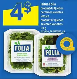Maxi LAITUE FOLIA | LETTUCE offer