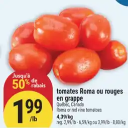 Marché Adonis tomates Roma ou rouges en grappe offer