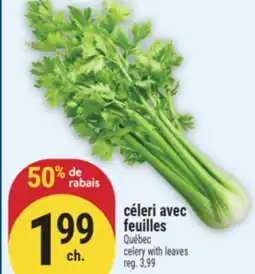 Marché Adonis CÉLERI AVEC FEUILLES | CELERY WITH LEAVES offer