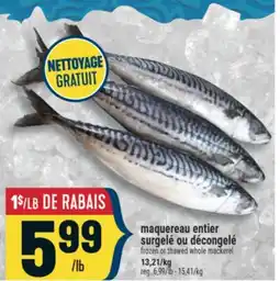 Marché Adonis MAQUEREAU ENTIER SURGELÉ OU DÉCONGELÉ | FROZEN OR THAWED WHOLE MACKEREL offer