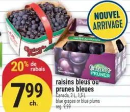 Marché Adonis raisins bleus ou prunes bleues | blue grapes or blue plums offer