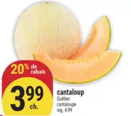 Marché Adonis CANTALOUP | CANTALOUPE offer