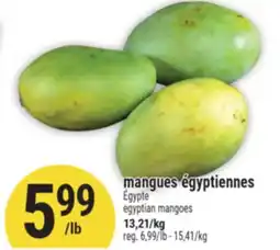 Marché Adonis MANGUES ÉGYPTIENNES | ÉGYPTE EGYPTIAN MANGOES offer