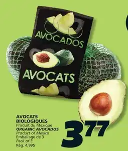 IGA ORGANIC AVOCADOS offer